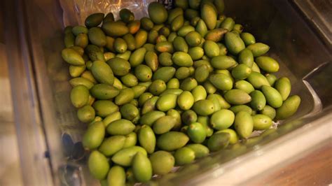 are there olive trees in china